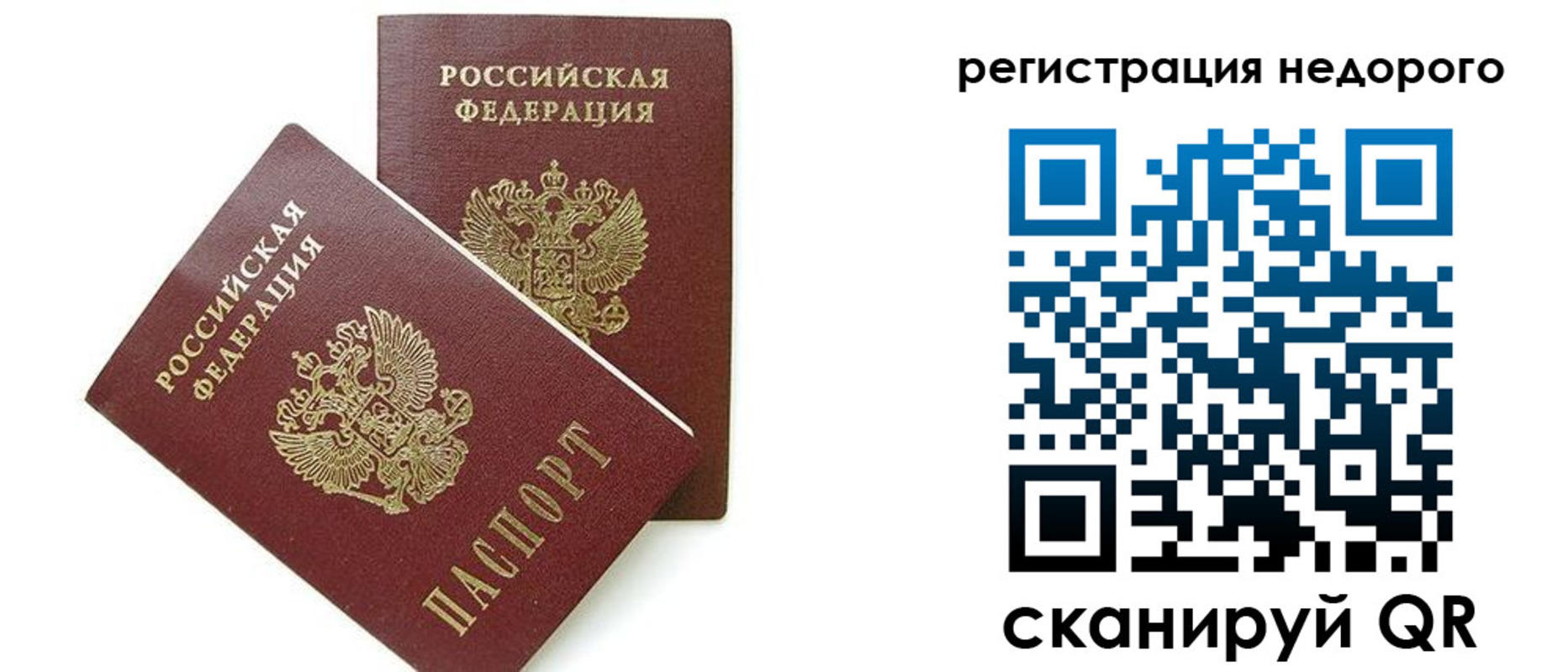 прописка в квартире в Щёлково